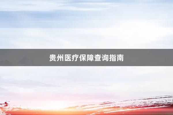 贵州医疗保障查询指南