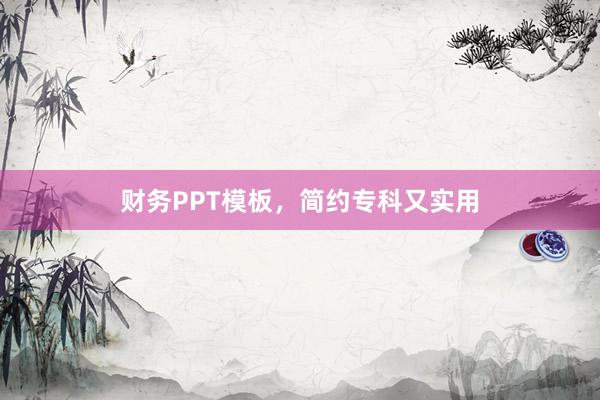 财务PPT模板，简约专科又实用